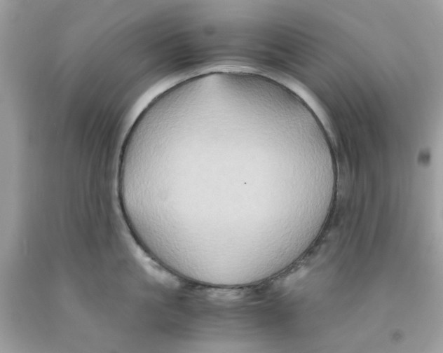 X0000091080861200709041239