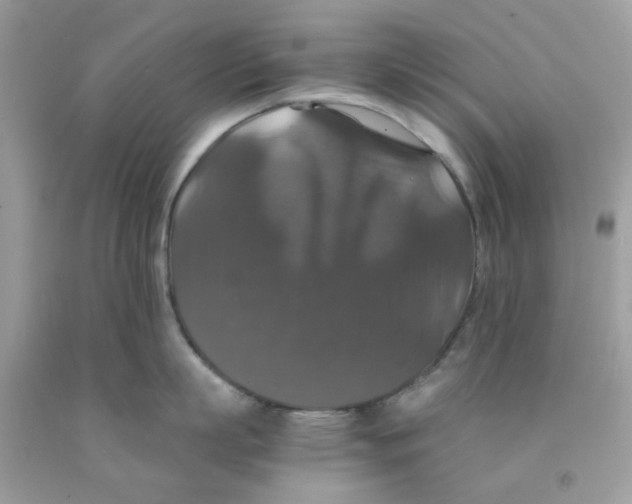 X0000091080863200709041239