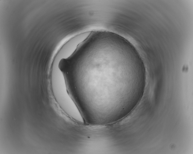 X0000091080864200709041239