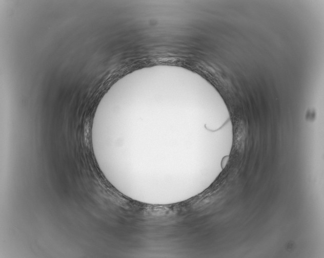 X0000091080866200709041239