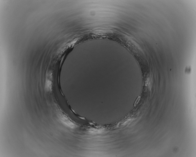 X0000091080868200709041239