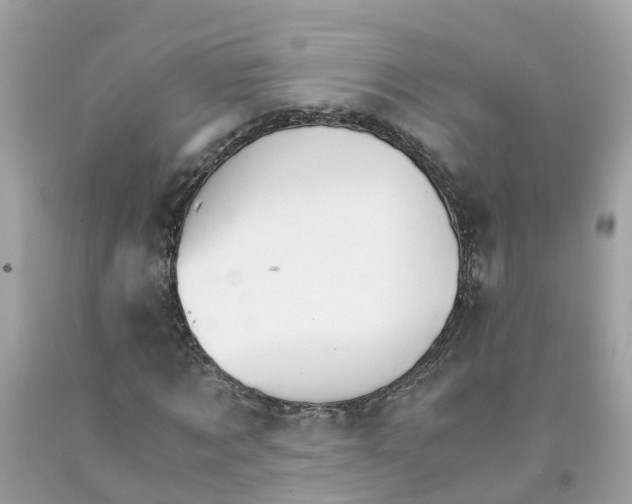 X0000091080869200709041239