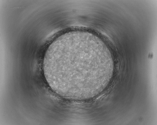 X0000091080870200709041239