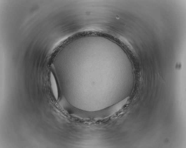 X0000091080872200709041239