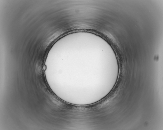 X0000091080873200709041239