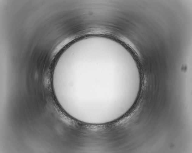 X0000091080874200709041239