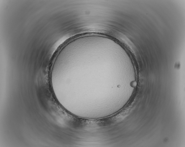 X0000091080875200709041239