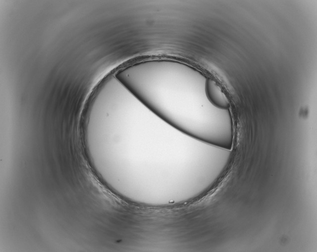 X0000091080876200709041239