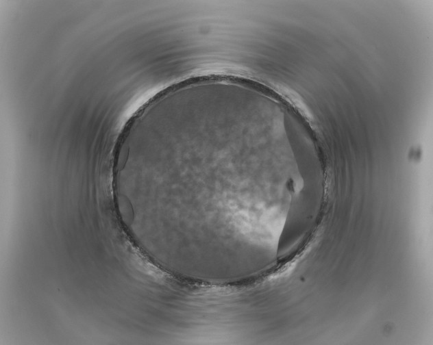 X0000091080877200709041239