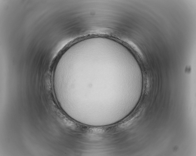 X0000091080878200709041238