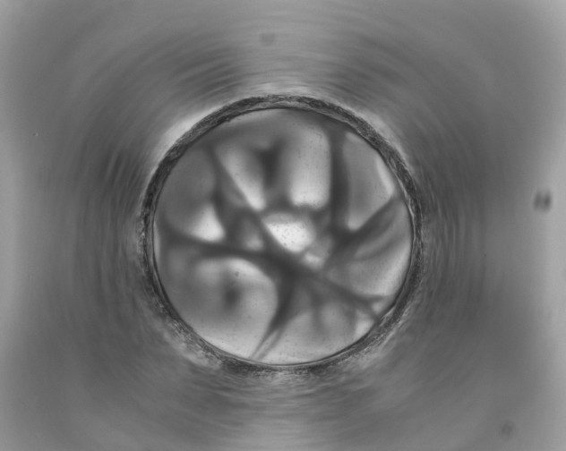 X0000091080879200709041238