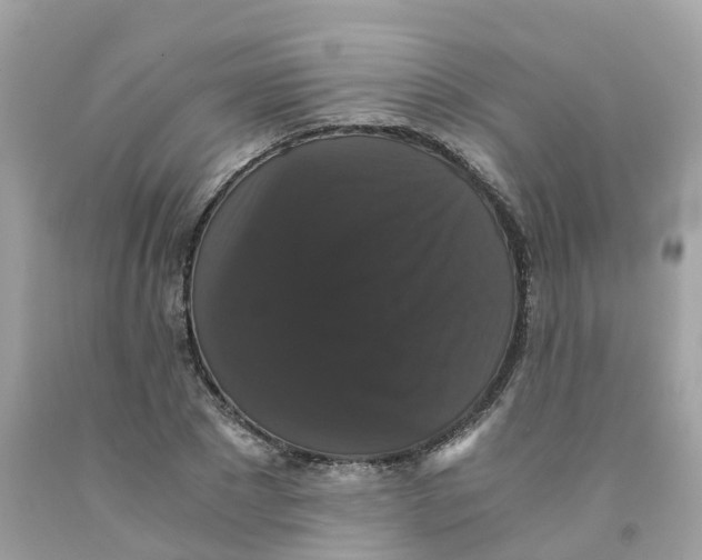 X0000091080881200709041238