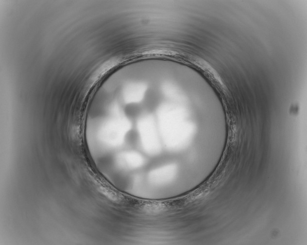 X0000091080882200709041238