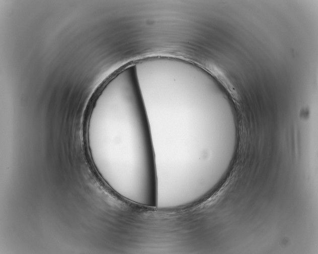 X0000091080884200709041238