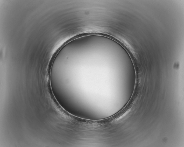 X0000091080885200709041238