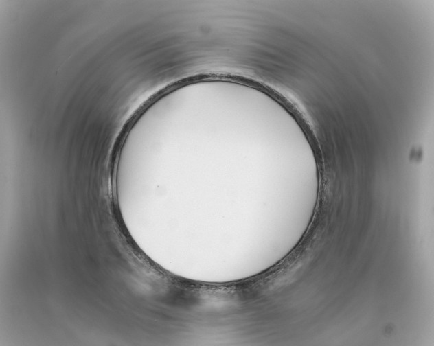 X0000091080887200709041238