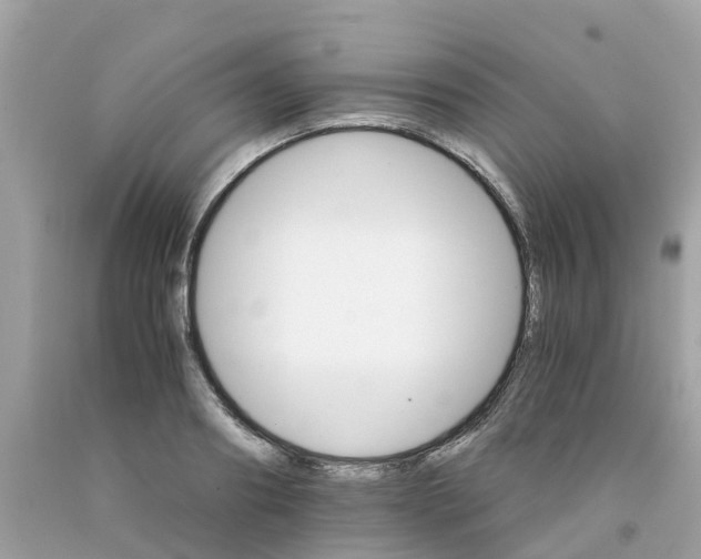 X0000091080890200709041238