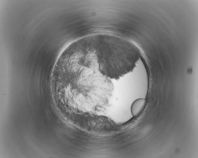 X0000091080891200709041238