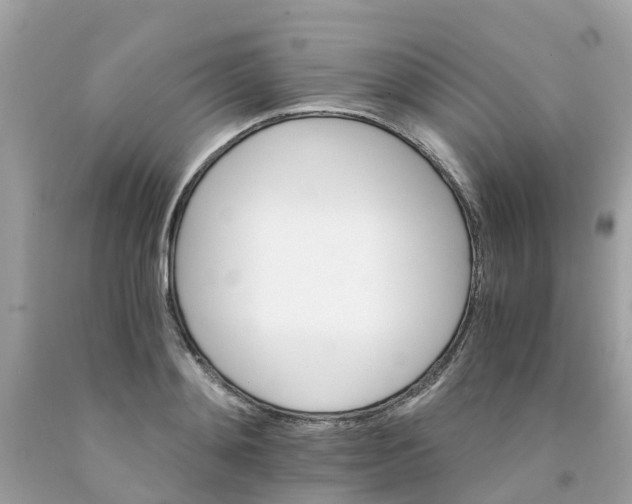 X0000091080892200709041238