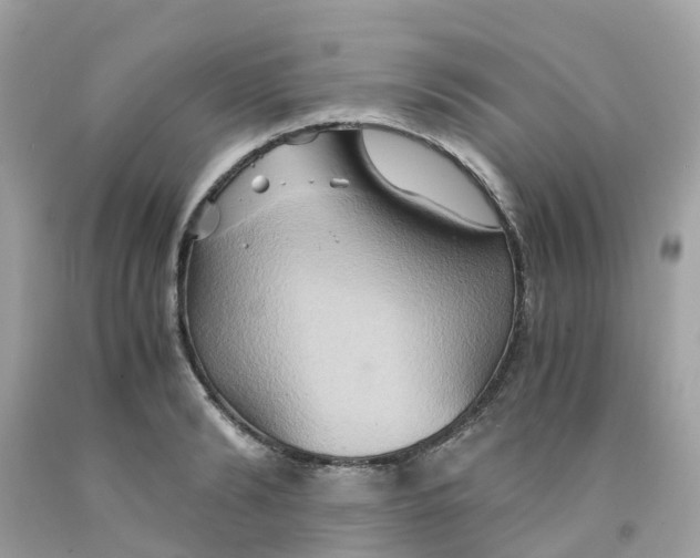 X0000091080894200709041238