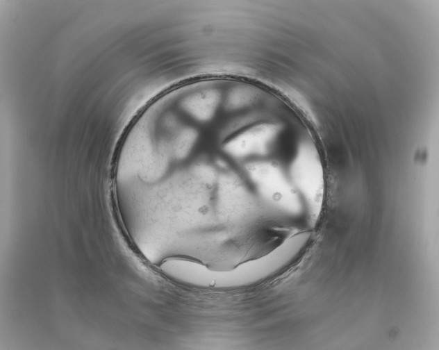 X0000091080895200709041238