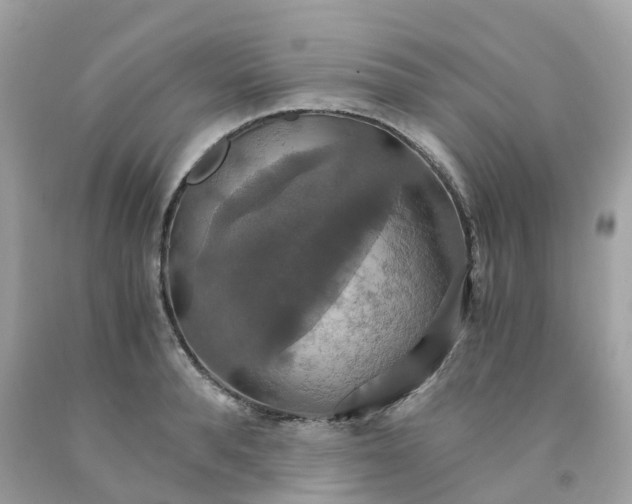 X0000091080896200709041238