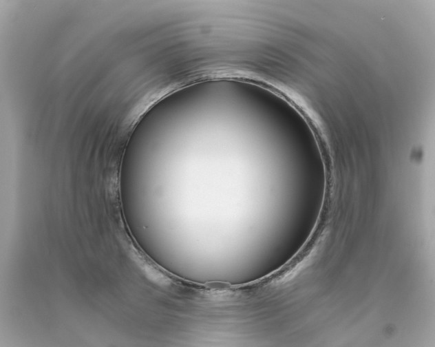 X0000091080897200709041238