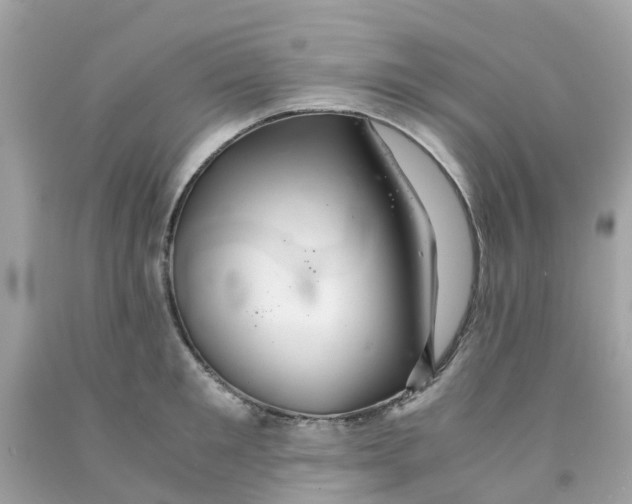 X0000091080901200709041238