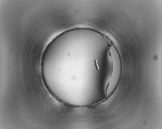 X0000091080902200709041238