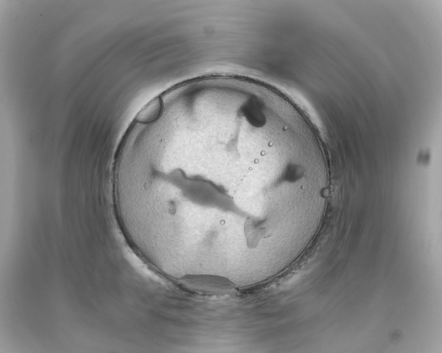 X0000091080903200709041238