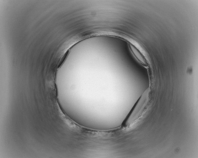 X0000091080905200709041238