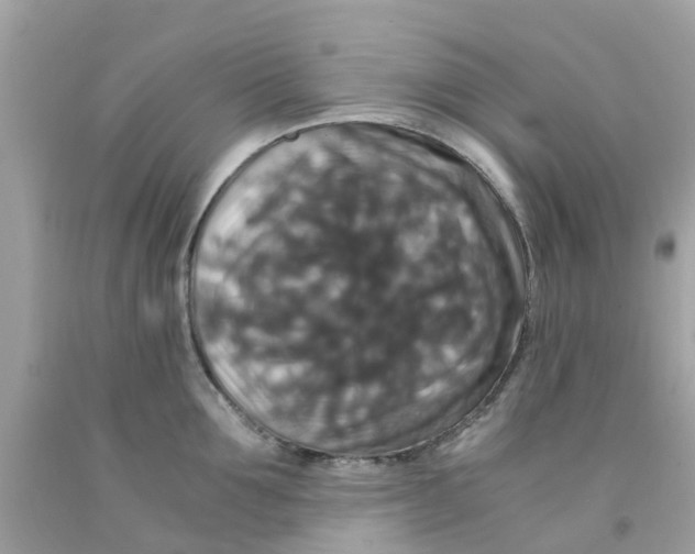 X0000091080907200709041238