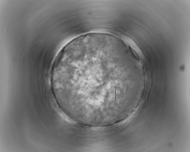 X0000091080908200709041238