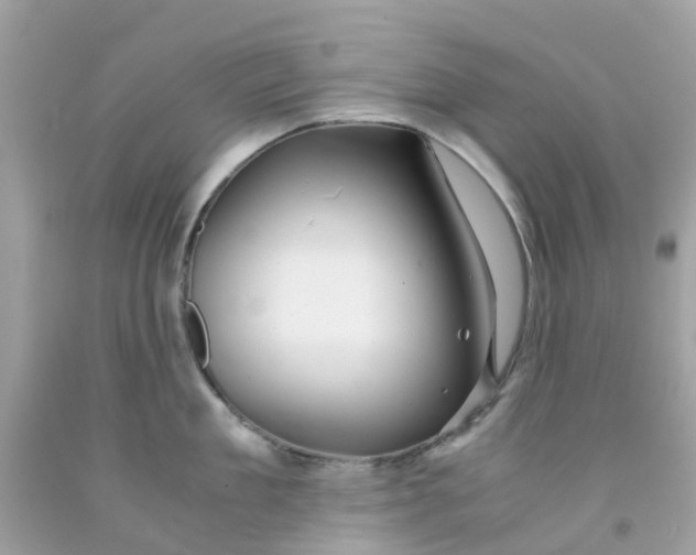 X0000091080909200709041238