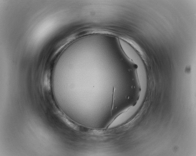 X0000091080910200709041238