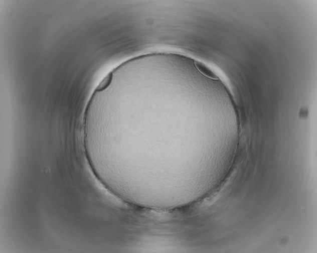 X0000091080911200709041238