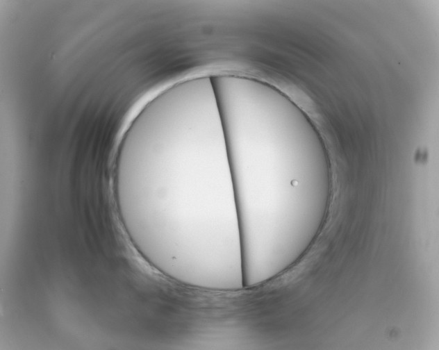 X0000091080912200709041238