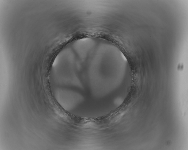 X0000091080913200709041237