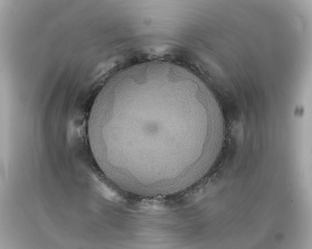 X0000091080914200709041237