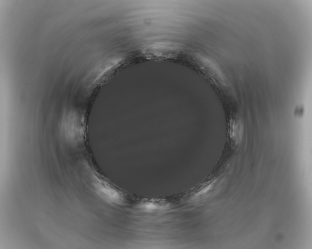 X0000091080915200709041237