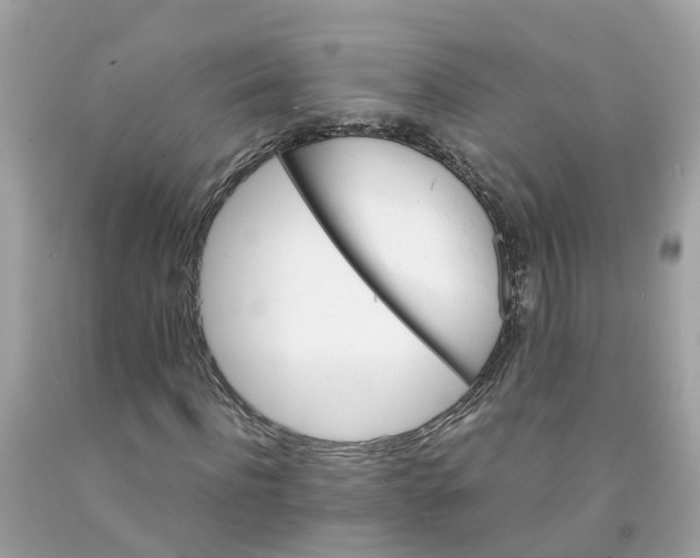 X0000091080916200709041237