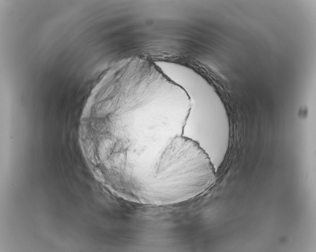 X0000091080917200709041237