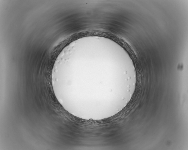 X0000091080919200709041237