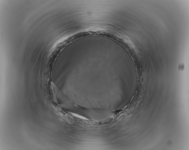 X0000091080920200709041237