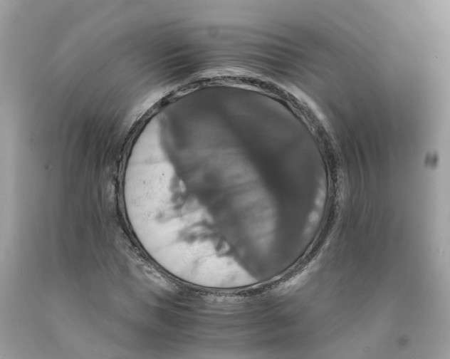 X0000091080921200709041237