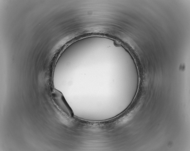 X0000091080922200709041237