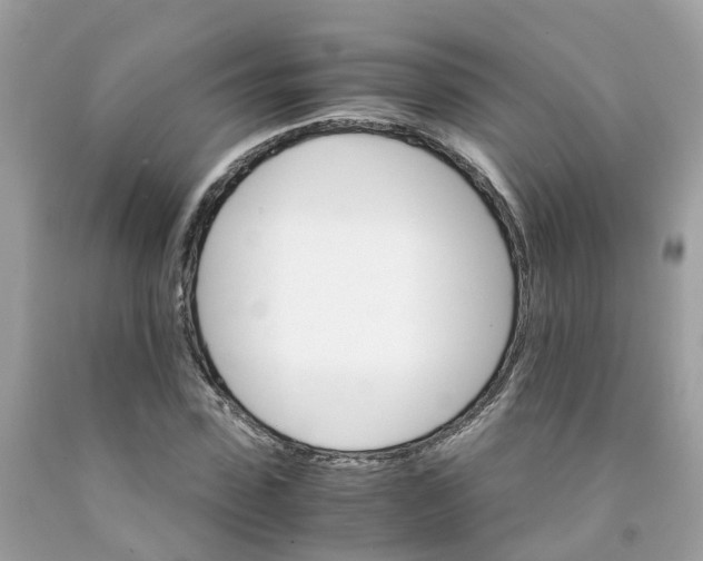 X0000091080923200709041237