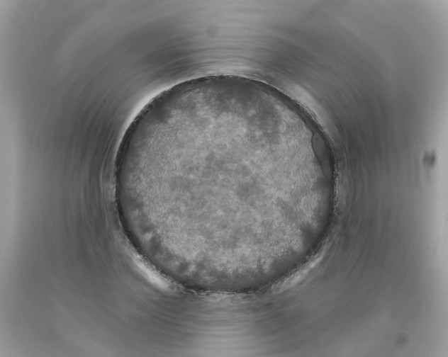 X0000091080924200709041237