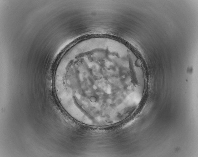 X0000091080925200709041237