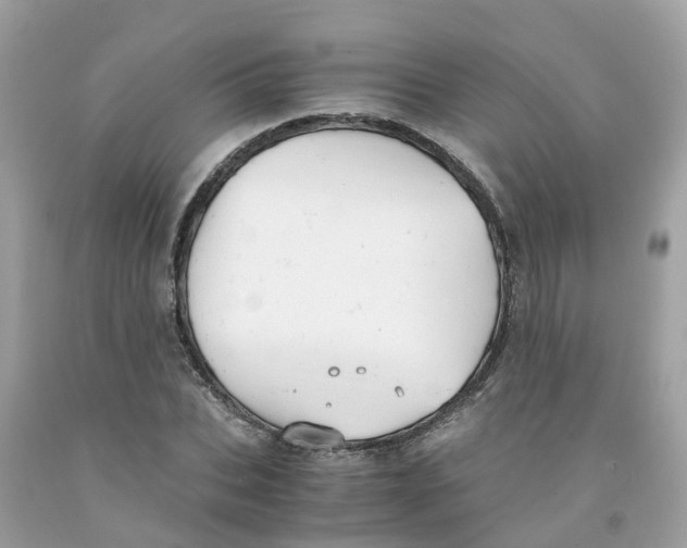 X0000091080927200709041237